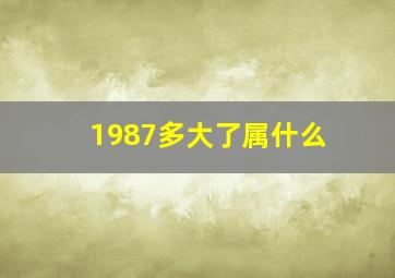 1987多大了属什么