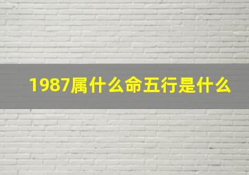 1987属什么命五行是什么