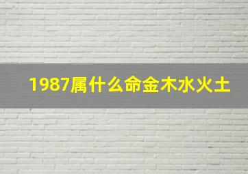 1987属什么命金木水火土