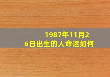 1987年11月26日出生的人命运如何