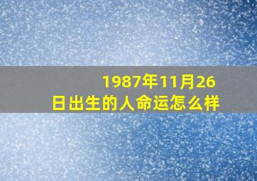 1987年11月26日出生的人命运怎么样