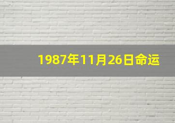 1987年11月26日命运