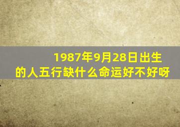 1987年9月28日出生的人五行缺什么命运好不好呀