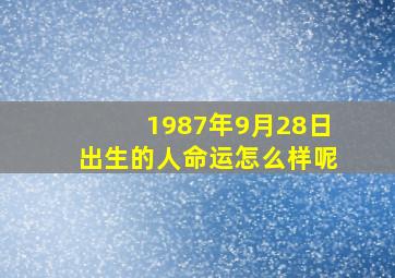 1987年9月28日出生的人命运怎么样呢