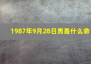 1987年9月28日男是什么命