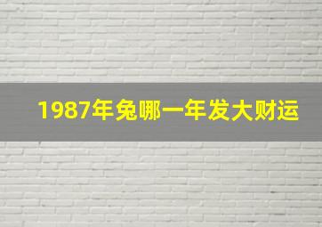 1987年兔哪一年发大财运