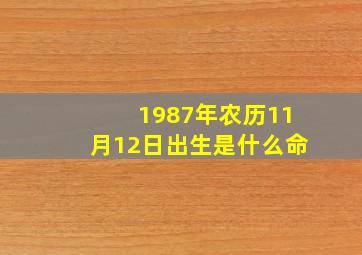 1987年农历11月12日出生是什么命