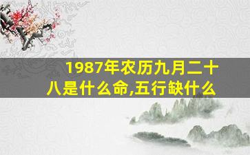 1987年农历九月二十八是什么命,五行缺什么