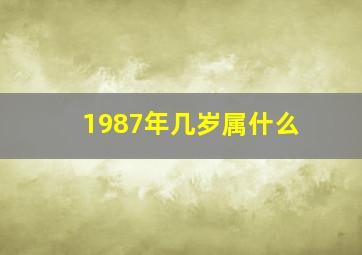 1987年几岁属什么