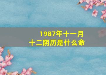 1987年十一月十二阴历是什么命