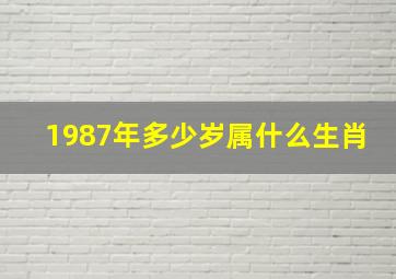 1987年多少岁属什么生肖