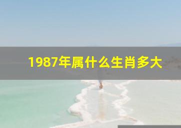 1987年属什么生肖多大