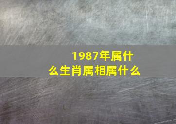 1987年属什么生肖属相属什么