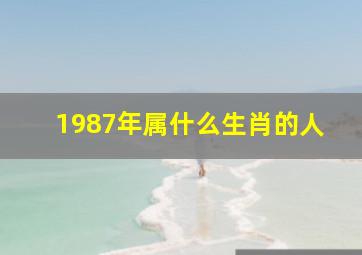 1987年属什么生肖的人