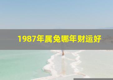 1987年属兔哪年财运好