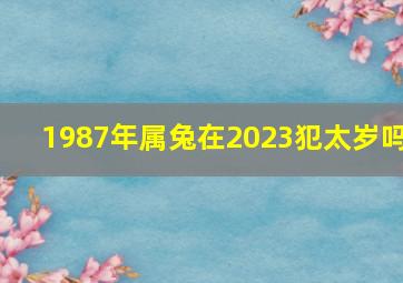 1987年属兔在2023犯太岁吗