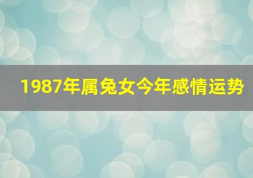 1987年属兔女今年感情运势