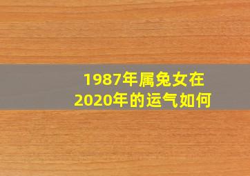 1987年属兔女在2020年的运气如何