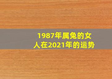 1987年属兔的女人在2021年的运势