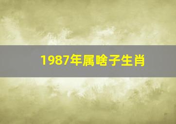 1987年属啥子生肖