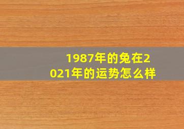 1987年的兔在2021年的运势怎么样