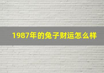 1987年的兔子财运怎么样