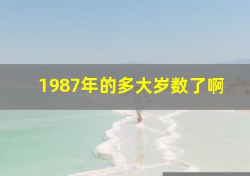 1987年的多大岁数了啊