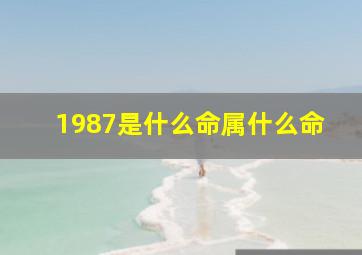 1987是什么命属什么命