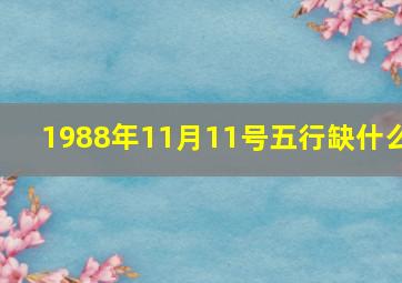 1988年11月11号五行缺什么