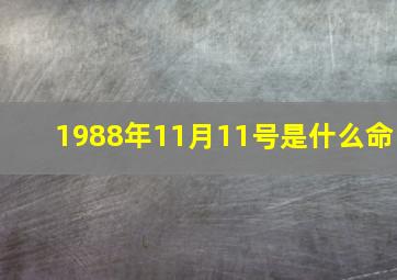 1988年11月11号是什么命