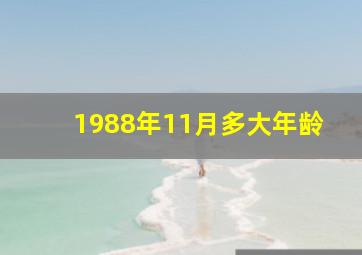 1988年11月多大年龄