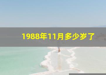 1988年11月多少岁了