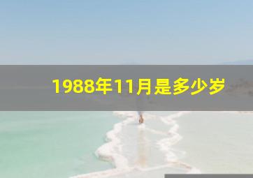 1988年11月是多少岁