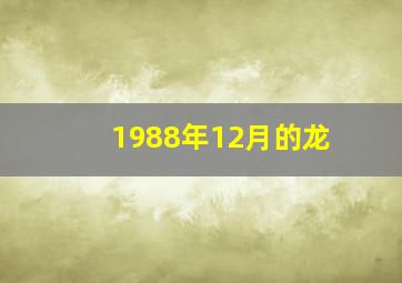 1988年12月的龙