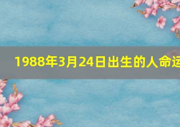 1988年3月24日出生的人命运