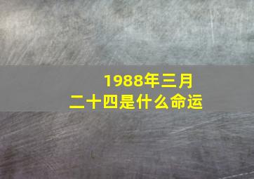 1988年三月二十四是什么命运