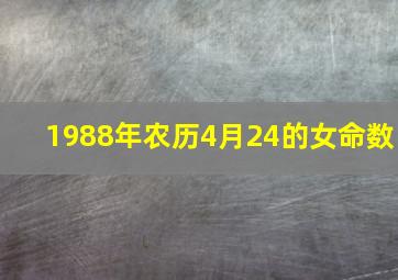 1988年农历4月24的女命数