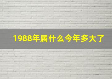 1988年属什么今年多大了