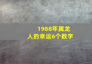 1988年属龙人的幸运6个数字