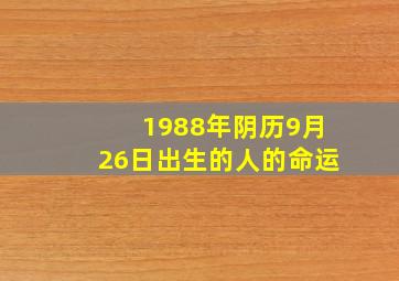 1988年阴历9月26日出生的人的命运