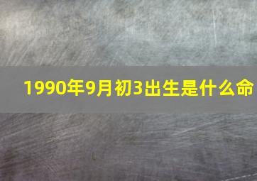 1990年9月初3出生是什么命