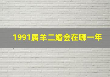 1991属羊二婚会在哪一年