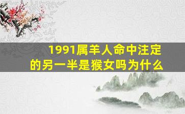 1991属羊人命中注定的另一半是猴女吗为什么