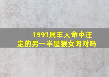 1991属羊人命中注定的另一半是猴女吗对吗