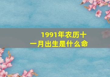 1991年农历十一月出生是什么命