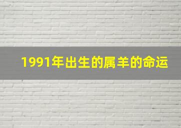 1991年出生的属羊的命运