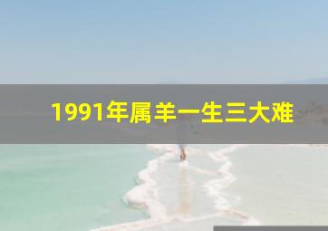 1991年属羊一生三大难