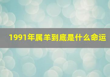 1991年属羊到底是什么命运