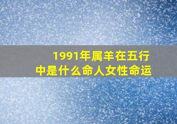 1991年属羊在五行中是什么命人女性命运