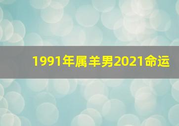 1991年属羊男2021命运